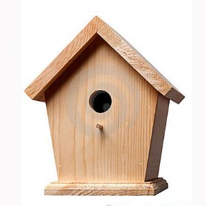 木制鳥(niǎo)屋