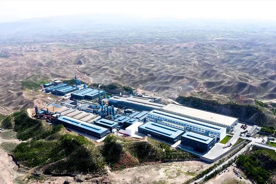 1683796743473135.jpg 640 (4).jpg