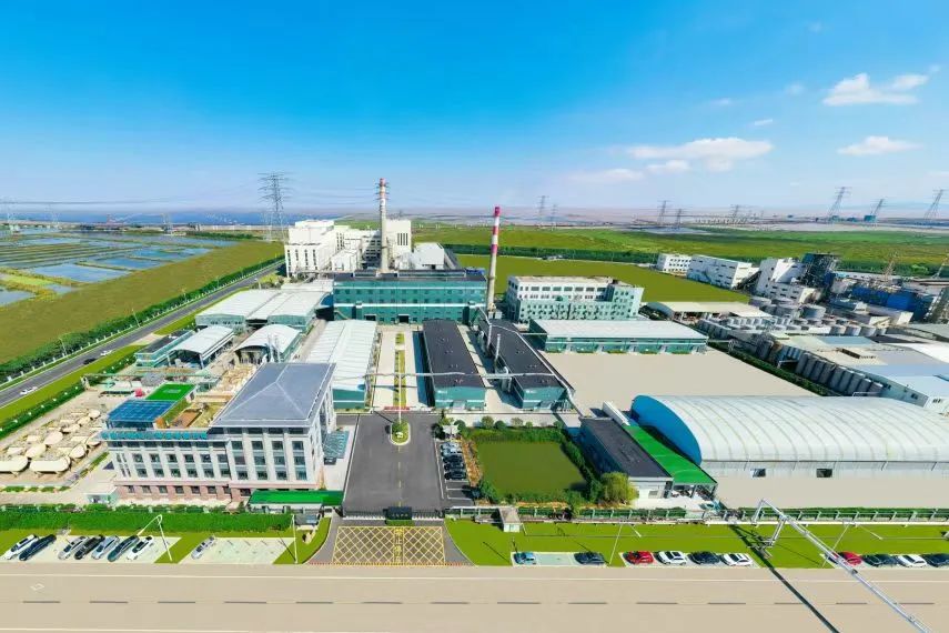 1740555114372155.jpg 3.jpg