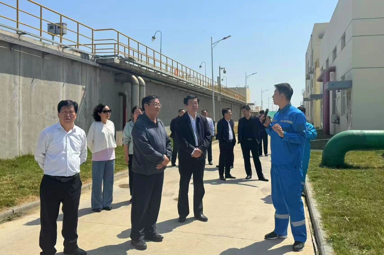 1748412046365909.jpg 1.jpg