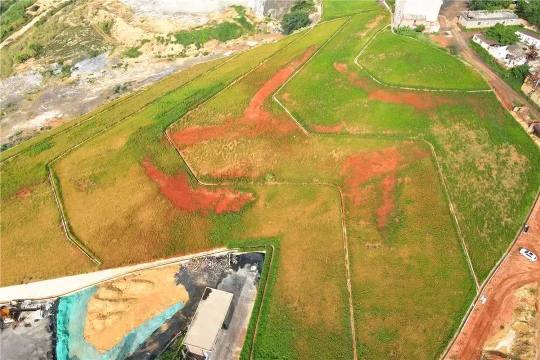 1748414971824807.jpg 3.jpg